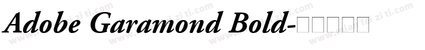 Adobe Garamond Bold字体转换